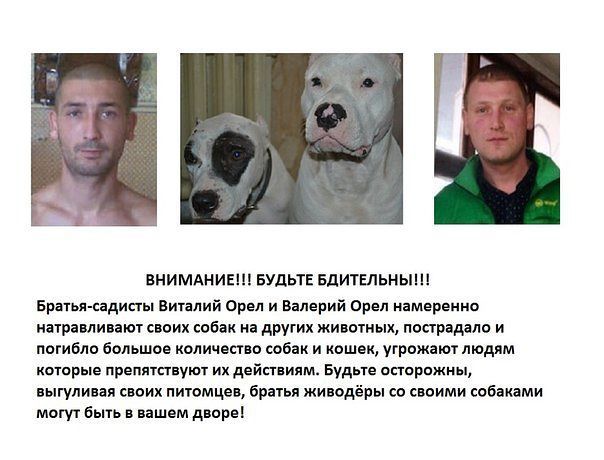 Реакция. Фото молодчиков и их собак — на каждом углу. Фото: forum.od.ua