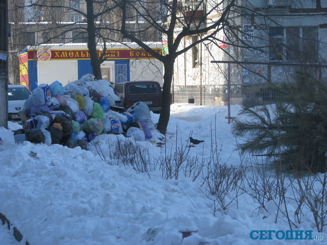 В Днепропетровске возле домов растут горы мусора. Фото: А.Никитин
