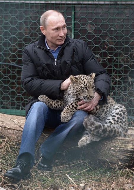 Владимир Путин с котенком леопарда. Фото AFP