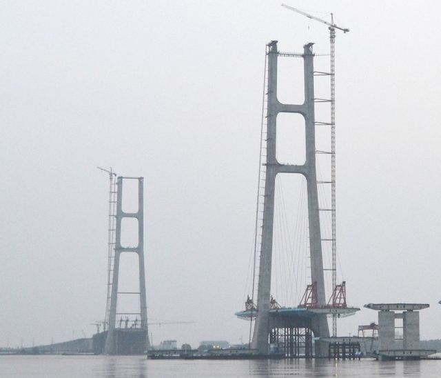 Мост Jiujiang Fuyin в Китае<br />
Мост Jiujiang Fuyin – 244,3 метров (802 фута) в высоту. Строительство  одного из  самых длинных вантовых мостов началось 2009 года и  завершилось в конце 2013 года.<br />
