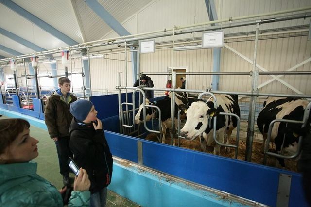 Ферма. Со своим молоком. Фото: Facebook<br />
