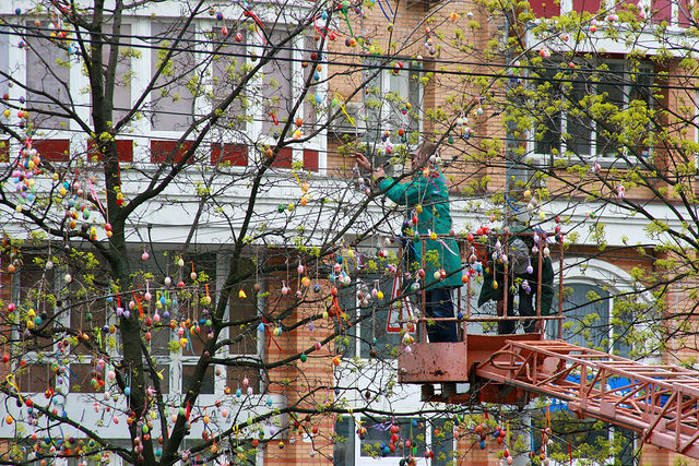 В Киеве создали рекордное дерево с писанками. Фото: КГГА