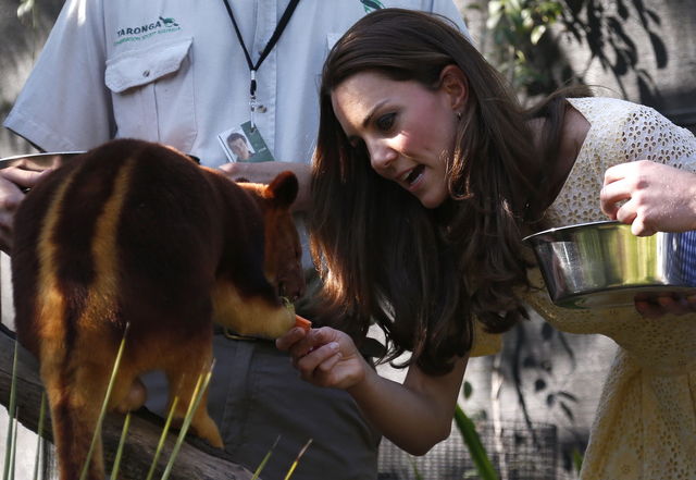 Зоопарк Taronga  Фото:AFP