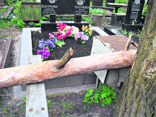На кладбщенской свалке можно найти не только венки и надгробья, но даже сломанную мебель