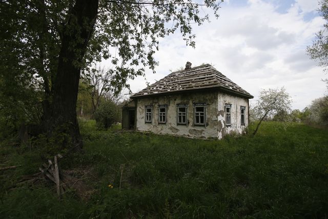 Будни украинского села в 50-х