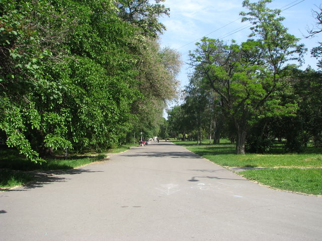 Парк ім. Глоби в Дніпропетровську. Фото: А. Никитін