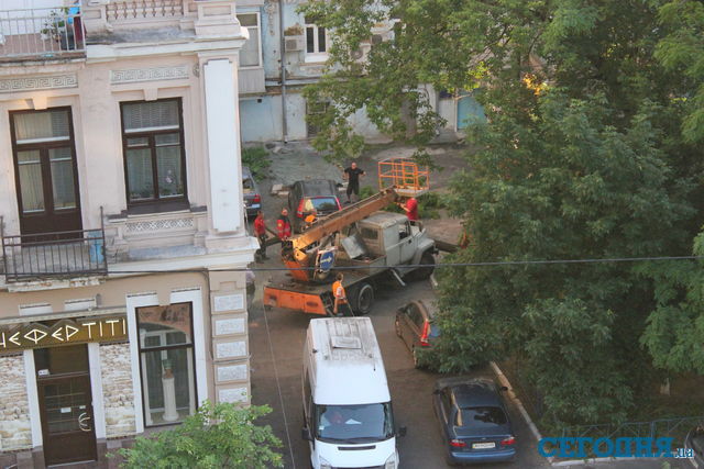 На Саксаганского дерево упало на два автомобиля. Фото: "Сегодня", А.Ревнова