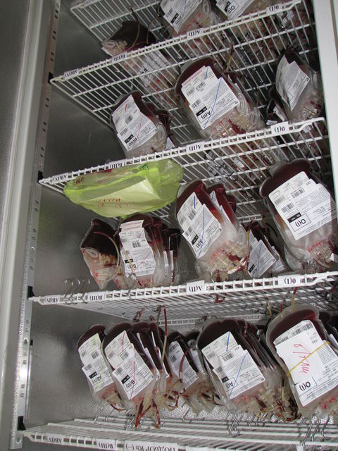 Доноры сдают около 100 литров крови в день. Фото: Е. Волкова