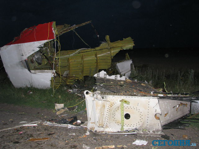 <p>Місце аварії "Боїнга-777". Фото: А.Худотеплий, А.Беркан і ДСНС</p>