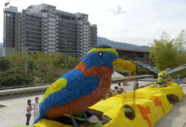 Колумбія. У місті Медельїн на північному заході країни місцеві флористи представили найскладніші композиції з живих квітів. Фото: AFP