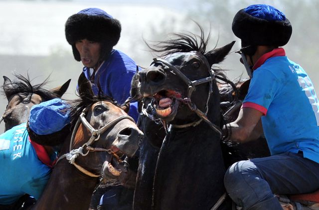 В Бишкеке в рамках празднования Дня независимости Кыргызстана прошел ряд мероприятий. В частности, все желающие могли принять участие в соревнованиях на лошадях, что стало уже традиционно. Фото: AFP