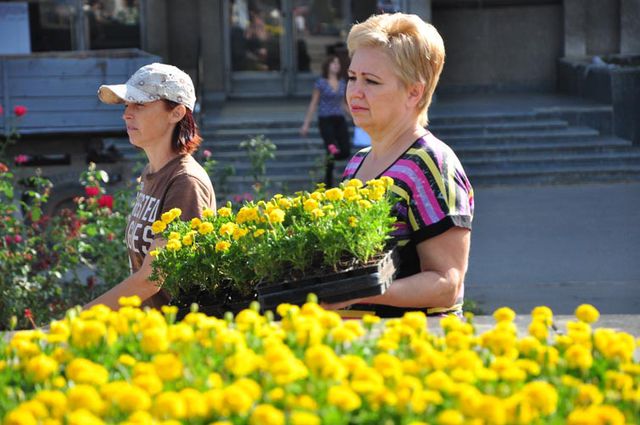 Послевоенному Славянску помогут вновь расцвести. Фото: slavrada.gov.ua