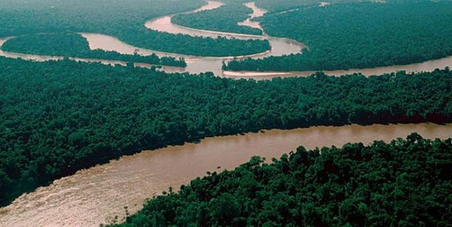 Амазонка<br /><br />
Амазонка по праву считается одной из величайших рек планеты. Это вторая по длине река в мире, после Нила, и самая большая по объему воды, который она вмещает.<br /><br />
 Все в Амазонке принимает гигантские размеры – сом может достигать 450 килограммов, а на мелководьях водятся огромнейшие змеи анаконды, когда-либо встречаемые человеком. <br /><br />
Амазонка – это пристанище острозубых пираний и бычьих акул, которые чрезвычайно агрессивны и непредсказуемы. Она просто кишит водными обитателями, которые так и норовят съесть вас буквально живьем.