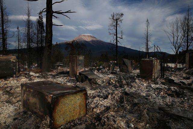 На півдні американського штату Каліфорнія бушувала потужна лісова пожежа. Вогнем охоплено близько 650 гектарів лісу, евакуйовані жителі 200 будинків. Лісові пожежі вирують в цьому штаті практично щоліта. Одна з найсильніших стався в 2008 році: тоді вогнем було знищено більше 250 тисяч гектарів лісів, згоріли близько 100 будов, одна людина загинула. Фото: AFP