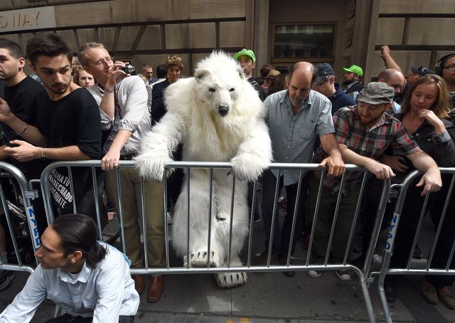 В Нью-Йорке более тысячи активистов перекрыли движение на Бродвее в районе Уолл-стрит. Акция протеста была приурочена к открытию климатического саммита ООН. Около 100 человек были задержаны за нарушение общественного порядка, в их числе человек в костюме белого медведя. Фото: AFP