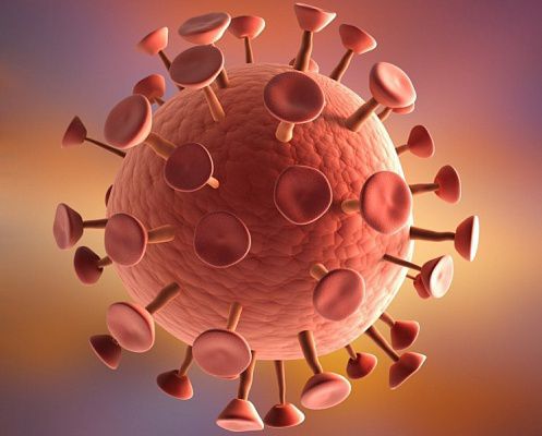 2. ВІЛ <br />
Хоча число смертей, пов'язаних з вірусом імунодефіциту людини (ВІЛ) знизилося в останні роки, тільки в 2012 році в світі від синдрому набутого імунодефіциту (СНІД), за даними ВООЗ, померли 1,6 мільйона осіб. Вірус атакує імунні клітини, послаблюючи імунну систему, що робить інфікованого уразливим перед будь-якими іншими захворюваннями. В цілому, за оцінками ВООЗ, з моменту відкриття вірусу в 1981 році у всьому світі від ВІЛ померло більше 36 мільйонів осіб. Сьогодні люди з ВІЛ-інфекцією здатні жити довше, ніж раніше, завдяки антиретровірусній терапії та зниженню числа нових випадків інфікування у порівнянні з піком епідемії СНІДу в 1997 році, проте на сьогоднішній день ніякого засобу позбавлення від ВІЛ як і раніше не існує.