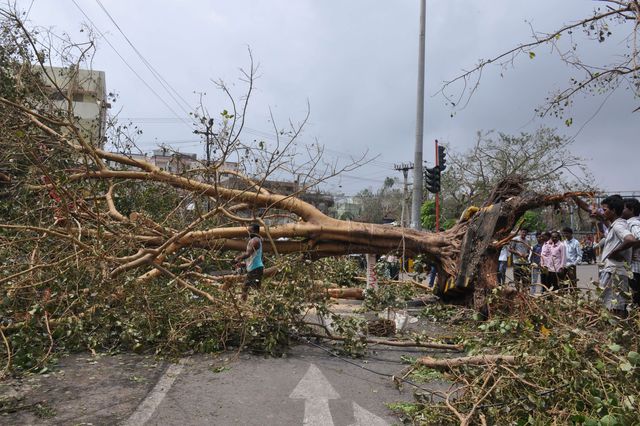 По узбережжю Індії вдарив потужний циклон "Хадхад". Жертвою стихії стала одна людина – на чоловіка впало дерево. Згідно з наявною інформацією, в епіцентрі швидкість вітру досягала 54 метрів в секунду. Жителі індійських штатів Андхра-Прадеш і Одіші евакуювалися в безпечні райони. Фото: AFP