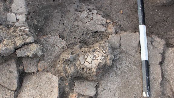 В Кировоградской области обнаружили развалины храма. Фото: Institute of Archaeology NAS