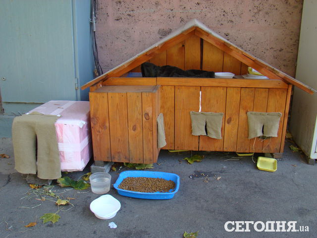 <p>Для котів майструють будиночки. Фото: Олена Расенко</p>