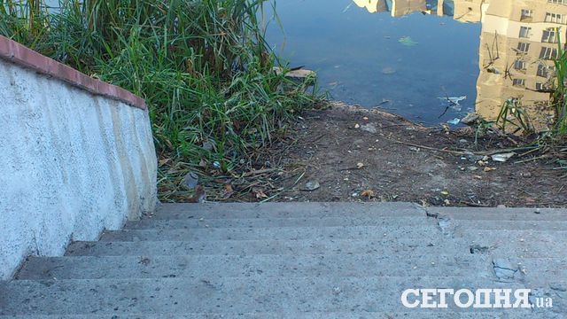 У берега. Обнаглевшие крысы бегают по аллеям и лезут в воду, отбирая хлеб у птиц. Фото: А. Мельник