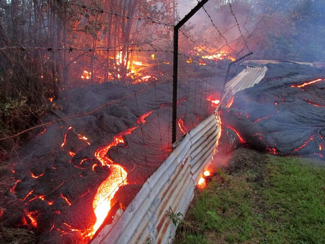 Влада американського штату Гаваї, вулканологи і синоптики уважно стежать за просуванням вогненної лави по схилах вулкана Кілауеа. Цей вулкан вважається найактивнішим на Землі. Нинішнє виверження почалося ще в 1983 році і продовжується до цих пір. Але якщо раніше розпечена маса стікала тільки по південному схилу гори, то в останні роки вона почала рух на північний схід. Поступово набираючи швидкість, вона спалює все на своєму шляху. Фото: AFP