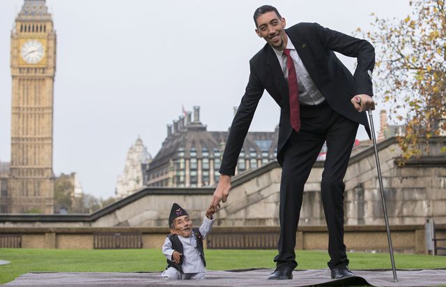 Chandra Bahadur Dangi, from Nepal, (L) the shortest adult to have ever been verified by Guinness World Records, poses for pictures with the world's tallest man Sultan Kosen from Turkey, during a photocall in London on November 13, 2014, to mark Guinness World Records Day. Chandra Dangi, measures a tiny 21.5in (0.54m) – the same height as six stacked cans of beans. Sultan Kosen measures 8 ft 3in