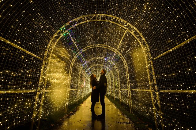У Лондоні повним ходом готуються до Різдва. Гості зможуть побродити серед виблискуючих відображень у садах Кью, підсвічених фонтанів і чудових оранжерей. Фото: AFP