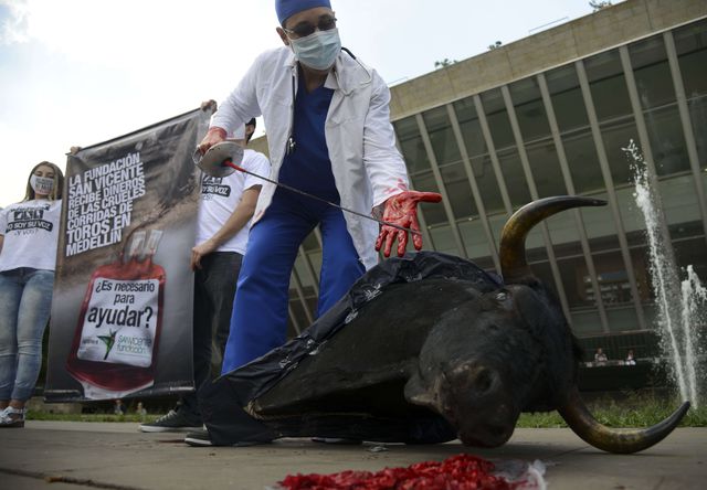 Захисники тварин провели акцію з вимогою заборонити криваві кориди в Колумбії. Фото: AFP