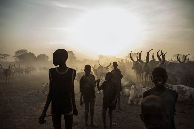 12 лютого 2014-го співробітники Служби ООН з розмінування знайшли нерозірвані кластерні боєприпаси в Південному Судані. Ні урядові сили, ні повстанці не взяли на себе відповідальність за їх використання. Фото: AFP