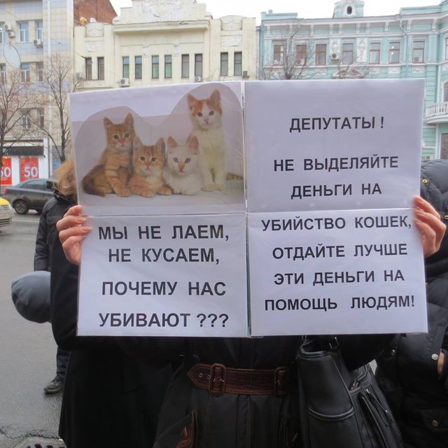 Защитники животных вышли на пикет. Фото: М. Иванов