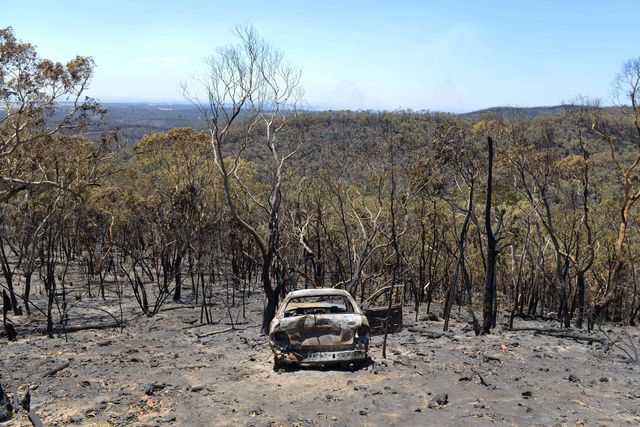 Пожежі в австралійському штаті Південна Австралія знищили 11 тисяч гектарів лісу і буша. Вогонь впритул підступив до житлових кварталах, вже знищивши ряд населених пунктів і фермерських господарств, розташованих в околицях. Евакуйовано десятки тисяч людей. На боротьбу зі стихією кинуто наземні служби і авіація, але зупинити стіну вогню поки не вдається. У районі Аделаїдського пагорбу згоріли понад 30 будинків. Тисячі жителів розташованих навколо міста невеликих населених пунктів були змушені ночувати в спеціально організованих притулках. Фото: AFP