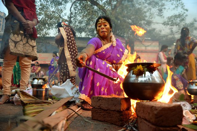 Кожен січня, після дня зимового сонцестояння, на півдні Індії в штаті Керала, святкується фестиваль врожаю Понгала. Дата свята визначається за допомогою сонячного календаря. Тому для індусів дні Понгала дуже сприятливі і астрономічно важливі. Це дуже важливе свято для всіх індусів, вважається що в цей день на Землю спускаються боги, після шести місяців довгої ночі. Фото: AFP