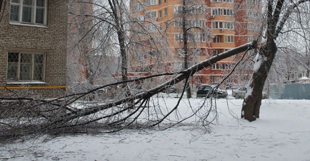 В Харькове непогода. Фото: соцсети