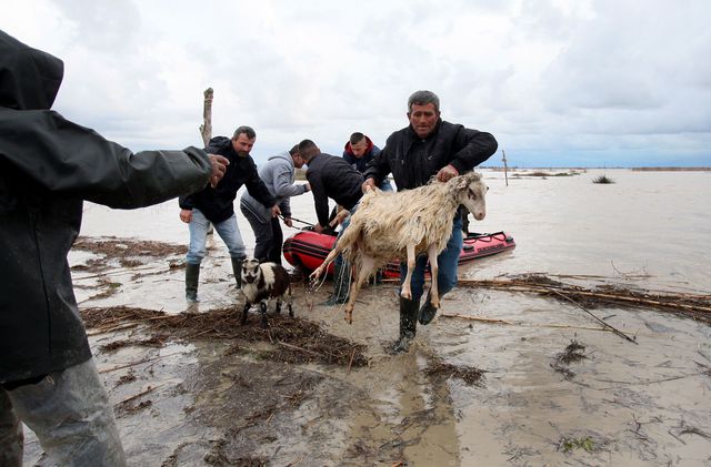 На юге Албании дожди и выходящие из берегов реки затопили тысячи гектаров сельскохозяйственных угодий, сотни домов и многие дороги. Сотни людей оказались заблокированы в своих домах. Выбраться им помогали водолазы и спасатели. Фото: AFP
