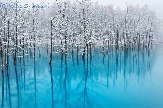 Голубой пруд в Японии / Kent Shiraishi
