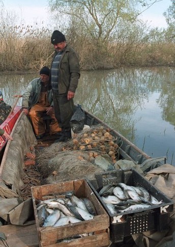 Вилковчан кормят, в основном, рыбная ловля и огродничество. Фото: А.мазур