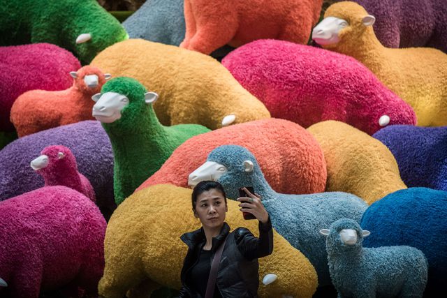 Накануне празднования Китайского Нового года в одном из торговых центров Гонконга установили несколько цветных овец. Инсталляция пользуется огромной популярностью среди покупателей. Фото: AFP