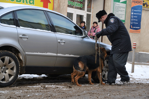 В органах внутренних дел Львовщины службу несут 28 собак. Фото: mvs.gov.ua