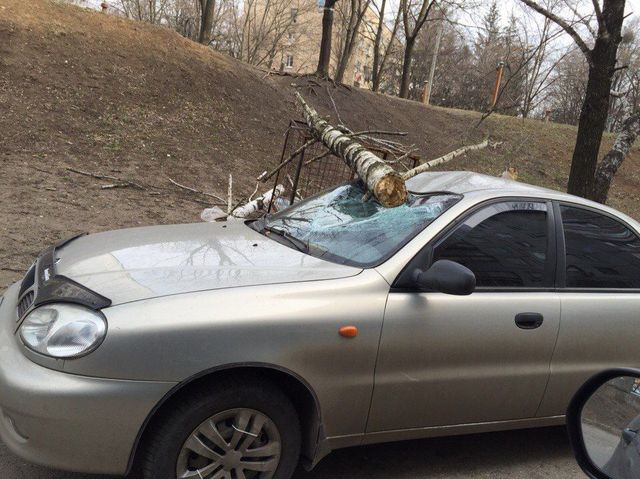 Наслідки. Повалені вітром дерева пошкодили не одне авто. Фото: vk.com