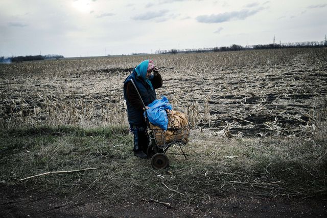Местные жители на неподконтрольной Украине территории собирают прошлогодний урожай на полях, чтобы выжить. Фото: AFP