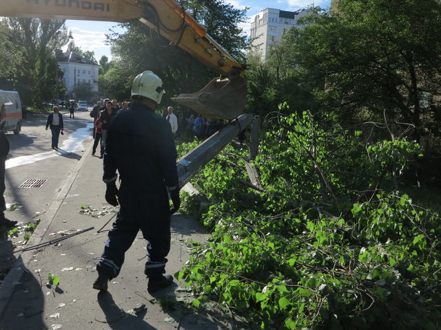 Краснопольская. По трагическому стечению обстоятельств дерево упало прямо на крышу едущего авто. Фото: Пресс-служба УГАИ Киев