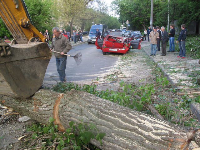 Краснопольская. По трагическому стечению обстоятельств дерево упало прямо на крышу едущего авто. Фото: Пресс-служба УГАИ Киев