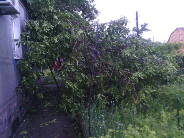 Ураган в Кривом Роге. Фото: соцсети