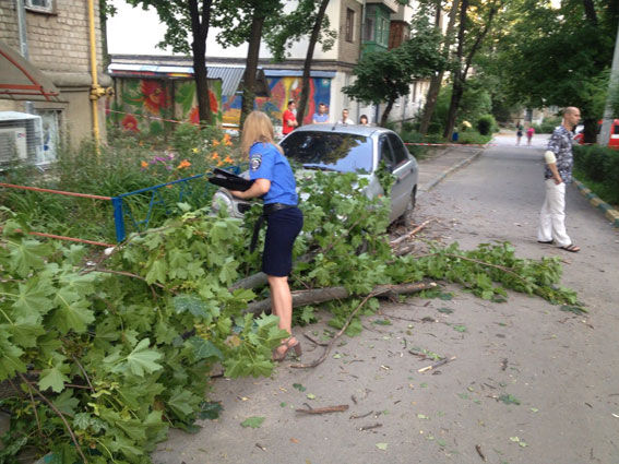 Дерево упало прямо на скамейку. Фото: dozor.kharkov.ua, mvs.gov.ua
