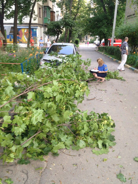 <p>Дерево впало прямо на лавку. Фото: dozor.kharkov.ua, mvs.gov.ua</p>