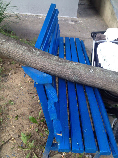 Дерево упало прямо на скамейку. Фото: dozor.kharkov.ua, mvs.gov.ua