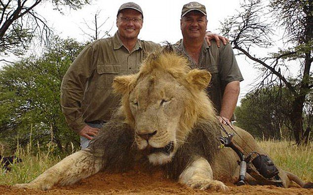 Пальмер (зліва) не думав, що полював на лева-знаменитість