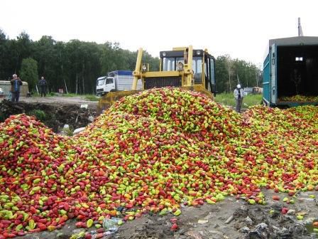 У Тюменській області розчавили 13 тонн болгарського перцю