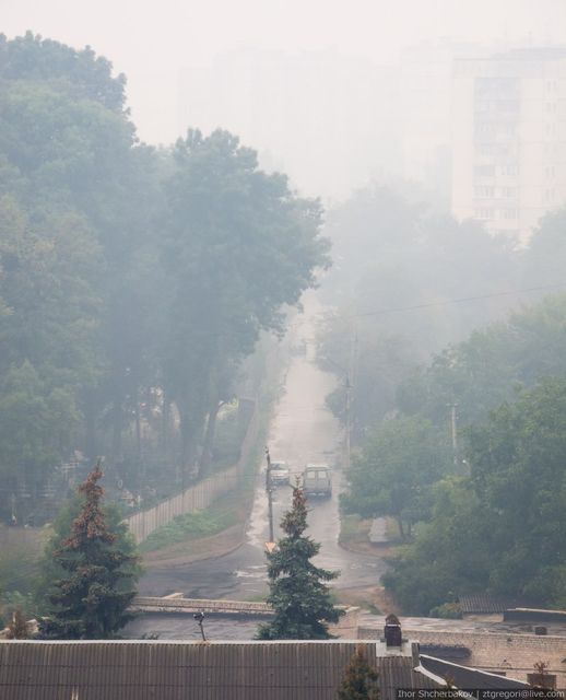 <p>Житомир затягнуло димом. Фото: zhzh.info</p>