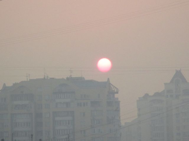 Киев затянуло дымом. Фото: соцсети